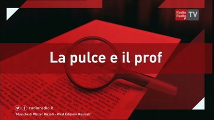 La Pulce e il Prof. - 14 febbraio 2017
