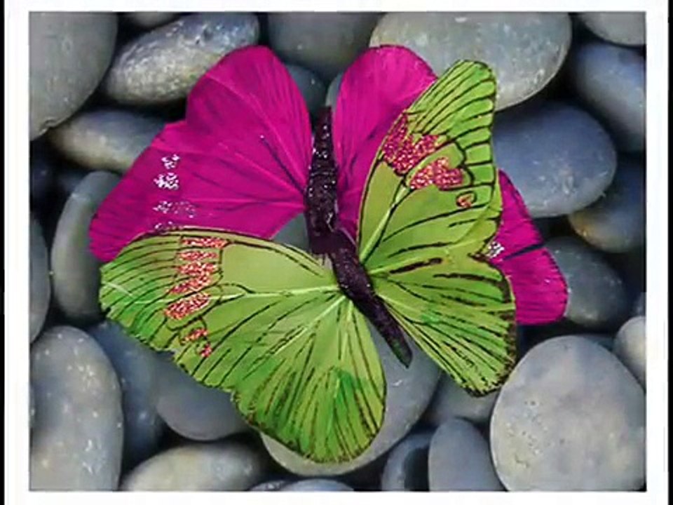 Paul de Leeuw & Adele - To make you feel my love   zo puur kan liefde zijn-6F9jjMPSxGA-HQ