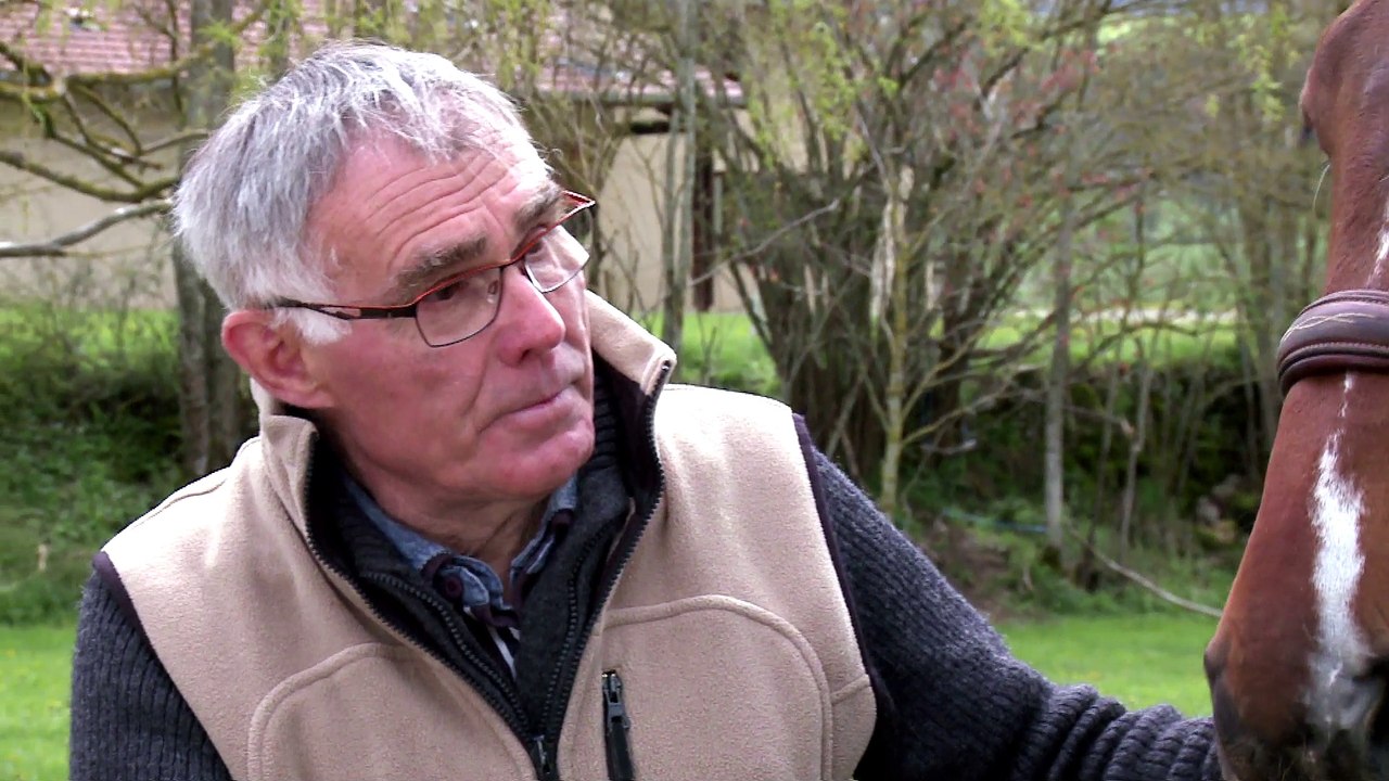 Soins aux chevaux