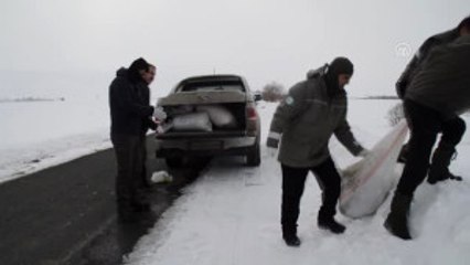 Kurt Saldırılarını Önlemek Için Doğaya Sakatat Bıraktılar