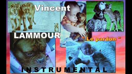 Le pardon INSTRUMENTAL Vincent LAMMOUR
