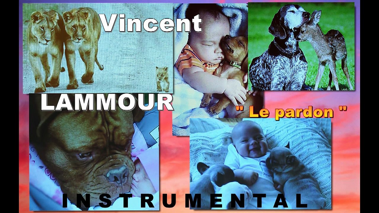 Le pardon INSTRUMENTAL Vincent LAMMOUR