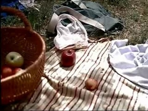 PUB INPES Contraception