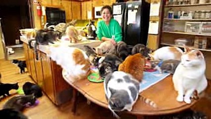 10 Most Shocking Real Mutations In Animals - YouTube