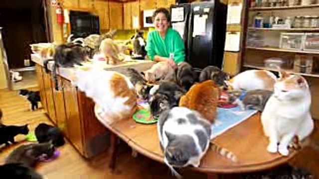 10 Most Shocking Real Mutations In Animals - YouTube