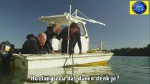 Bart Lauwers Humor Site : Wat als je ging duiken op 1 april?