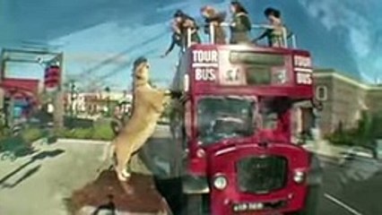 10 Most Amazing Animal Hybrids - YouTube