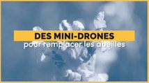 Ce petit drone a été créé pour polliniser les fleurs comme les abeilles