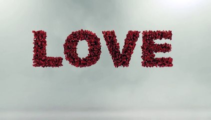 Amira Alstohy: Profile and Achievements