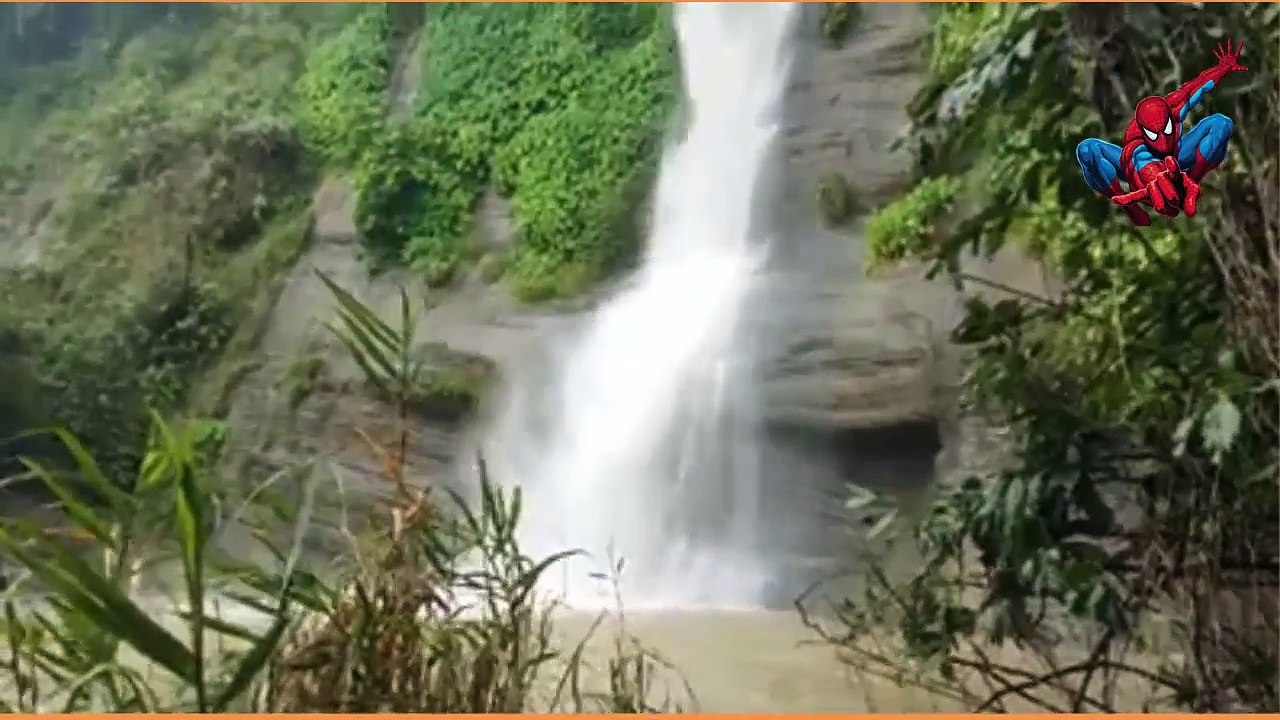 সীতাকুন্ড বোটানিকেল গার্ডেন ও ইকোপার্কসীতাকুন্ড বোটানিকেল গার্ডেন ও ইকোপার্ক