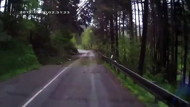 Família fica em apuros quando várias árvores caem na estrada que seguiam