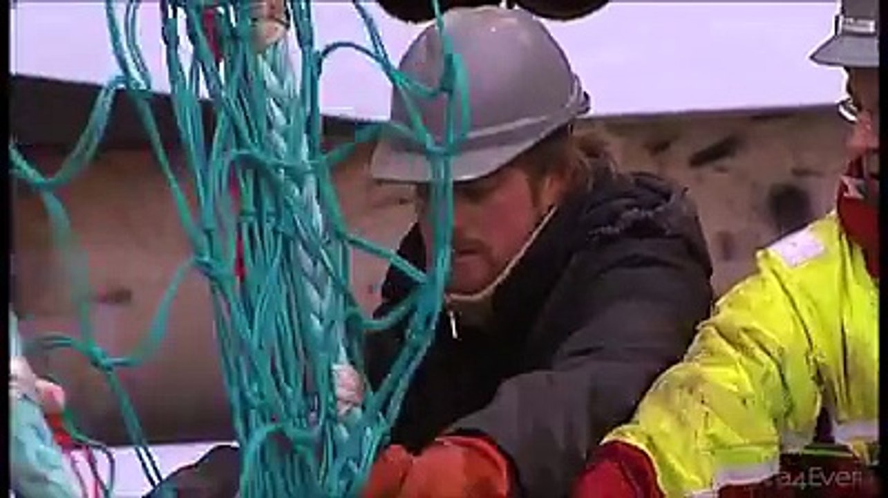 Natura4Ever - présentation du NaturaKrill (vivre-mieux-naturellement.fr)