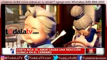 ¿Cómo funciona el amor?-Noticias y Mas-Video