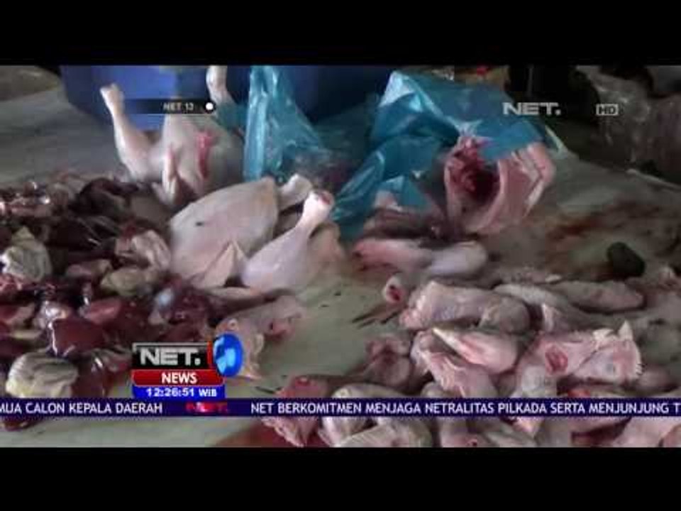 Harga Telur dan Daging Naik - NET 12