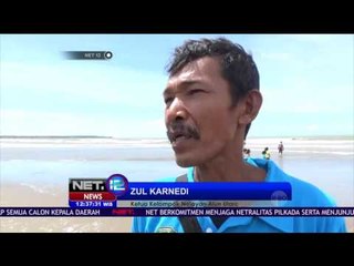Penangkaran Penyu Hasil Swadaya - NET 12