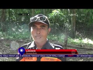 Wisata Alam Pananjung Pangandaran - NET 12