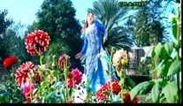 Pashto New HD  Songs 2017 Saudagar Song Hits - Khe Da Ta Sta Meena