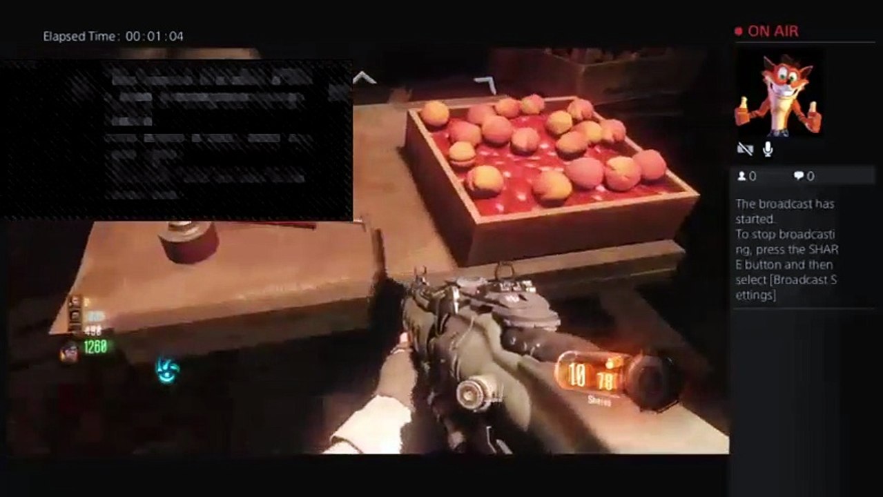 Bo3 gameplay (28)