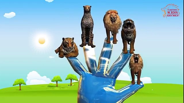 Lion Vs Tiger Finger Family Rhymes | Lion Vs Tiger Fighting Finger Family Song For Children