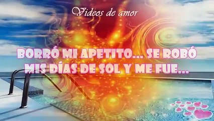 magnificas reflexiones