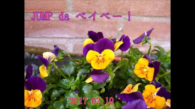 JUMP da ベイベー！#20170210