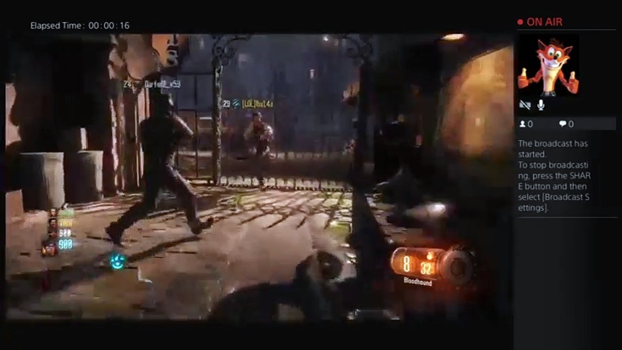 Bo3 gameplay (29)
