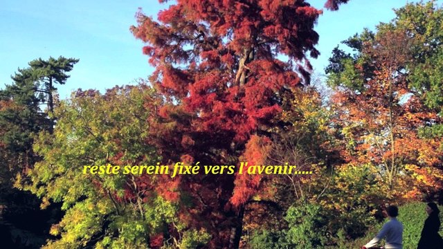 SUR LE CHEMIN DE LA VIE/Photos-Poème-Voix-RENÉE-FRANCE BOURDARIE-GHARBI