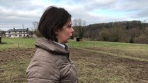 L'élevage de cochons en plein air de la ferme d'Argentel