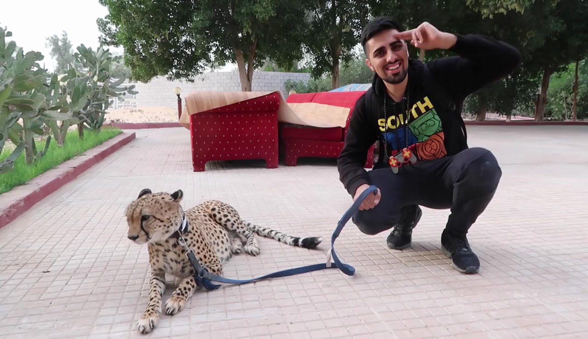 ⁣PETS OF DUBAI !!!