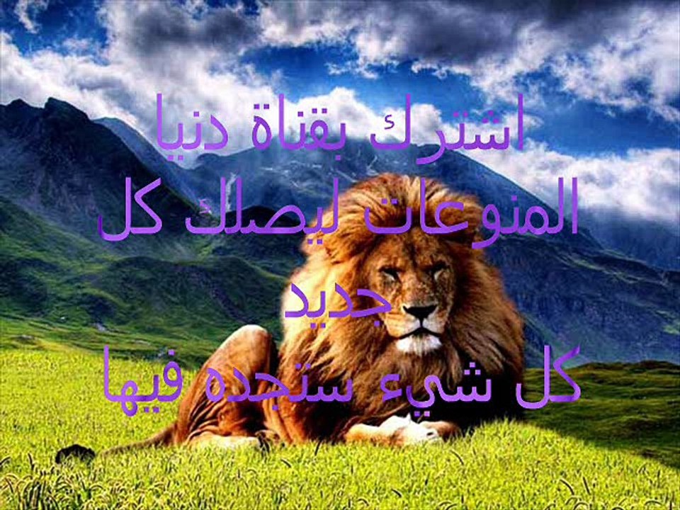 تفسير رؤية الأسد في المنام