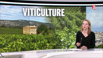 Les secteurs agricoles recrutent