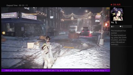 The Division Live Gameplay: i is newb! :o (12)