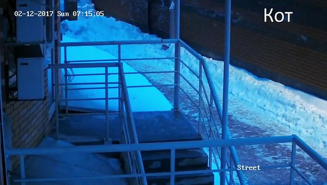 Просто ужас! Появилось жуткое видео самоубийства семьи на Осокорках