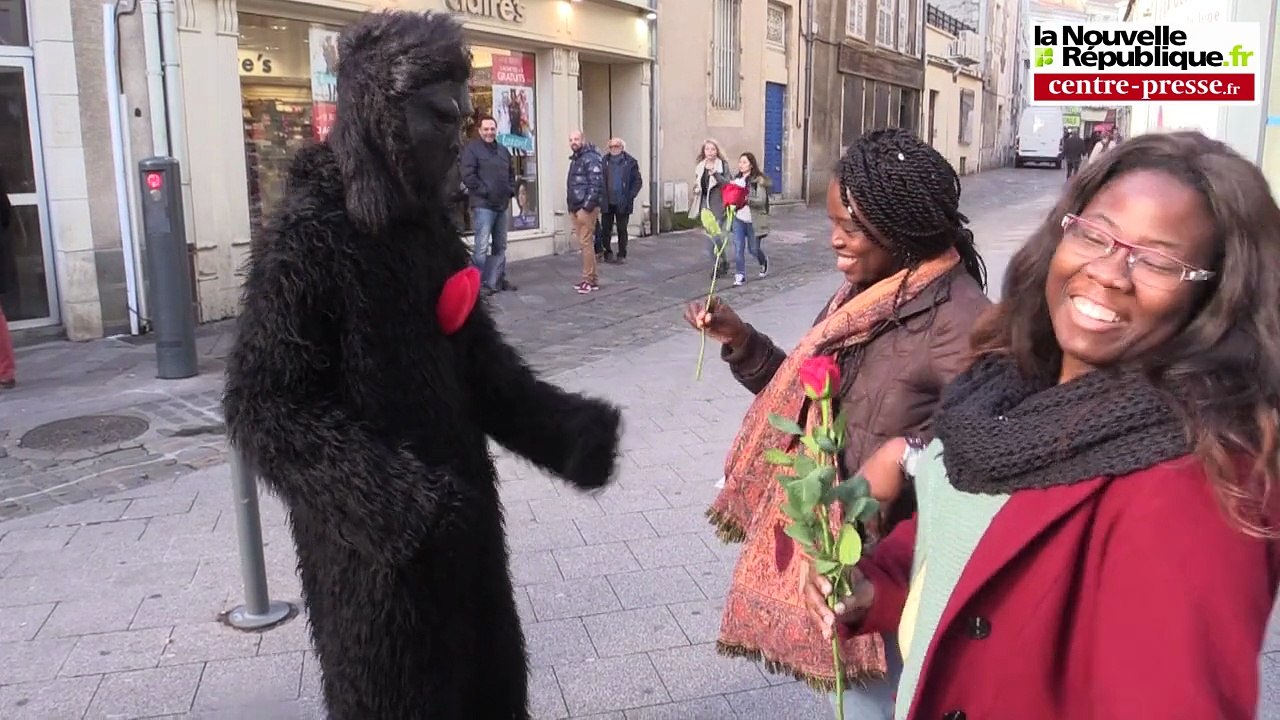 VIDEO. Poitiers. La Vallée des singes vous offre des câlins
