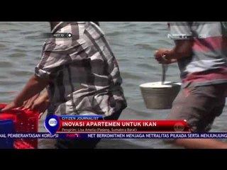 Inovasi Apartemen Untuk Ikan - NET 10