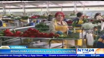 Cientos de flores llegan a Estados Unidos desde Colombia para la celebración del día de San Valentín