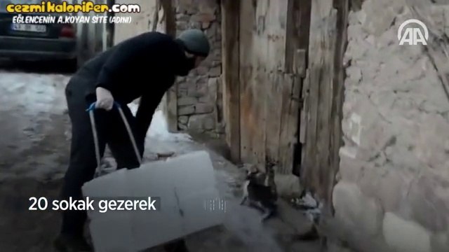 Kışın Yiyecek Bulmakta Zorlanan Kedileri Balık Pazarından Topladığı Balık Artıklarıyla Besleyen Güzel İnsan