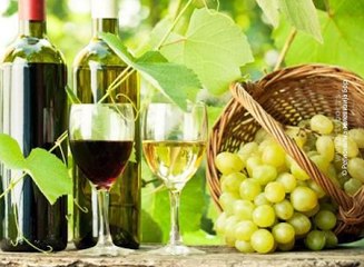 Sveti Trifun ili Valentin, 14. februar 2016 (RTV Bor)