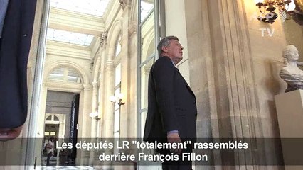 Les députés LR «totalement» rassemblés derrière François Fillon