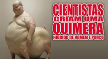 Cientistas criam Quimera fundindo celulas humanas com porcos