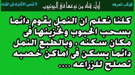 معجزة الهية تبهر العالم اجمع