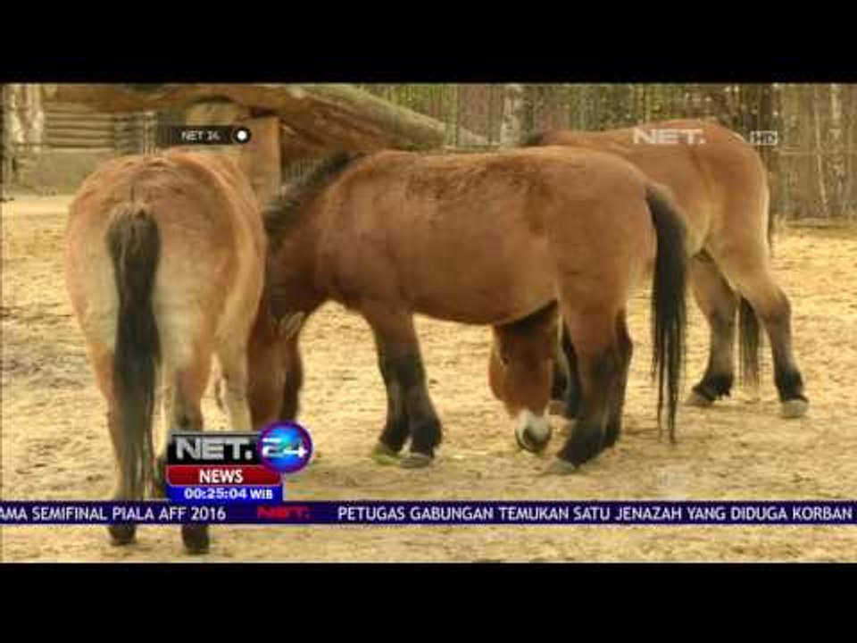 Kebun Binatang La Menagerie, Rumah Dari 180 Spesies Binatang - NET24