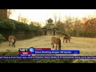 France Zoo Menawarkan Ratusan Spesies dan Konsep Bangunan Haritage - NET 12