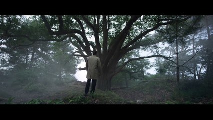 Film Coalition Climat 21 - Arbre 30" / agence Les Présidents