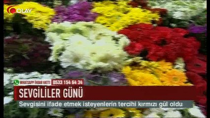 Sevginin ifadesi kırmızı gül oldu (Haber 14 02 2017)