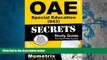 Read Online OAE Special Education (043) Secrets Study Guide: OAE Test Review for the Ohio
