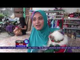 Busana Khusus Untuk Hewan Peliharaan di Surabaya, Unik! - NET 12