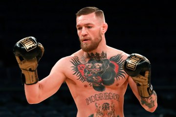 A Floyd Mayweather-Conor McGregor boxing mega-fight is now closer to reality