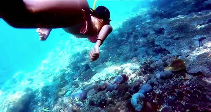 Dj Dark x Dj George A - Je t`aime