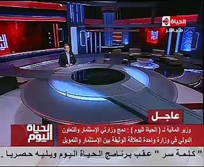 وزير المالية: انخفاض نسبة التضخم واستقرار الأسواق بشكل كبير فى مارس المقبل
